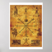 Segno Poster 1 (Vorne)