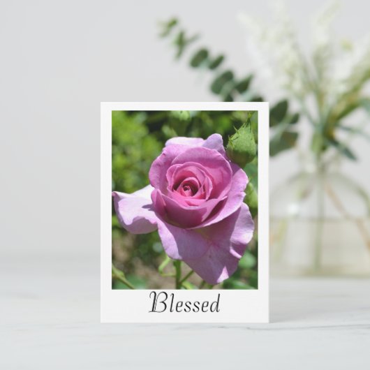 Segnung Rose Postkarte (Stehend Vorderseite)