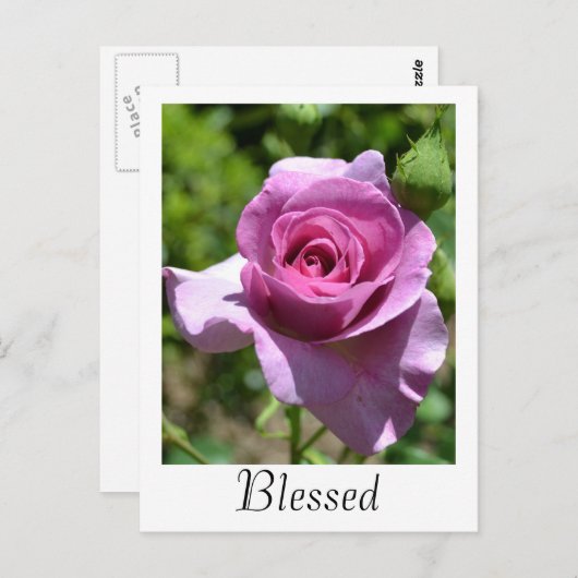 Segnung Rose Postkarte (Vorne/Hinten)