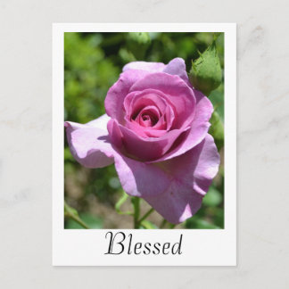 Segnung Rose Postkarte