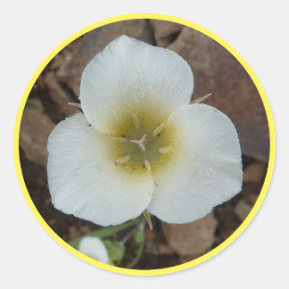 Sego Lily Runder Aufkleber