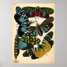 Seguy Art Noveau Vintage Laternenfliegenplakat