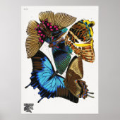 Séguy-Vintage Schmetterlinge (1925) Poster (Vorne)