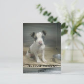 Sehe ich dir gemein aus? postkarte (Stehend Vorderseite)