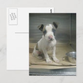 Sehe ich dir gemein aus? postkarte (Vorne/Hinten)