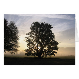 Sehen der Karte beider Seiten