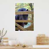 Sehen. [Drucken] Poster (Küche)