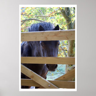 Sehen. [Drucken] Poster