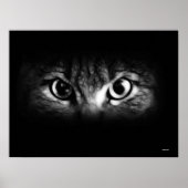 sehen poster (Vorne)