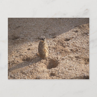 Sehen Sie das & denken Sie an Sie! Postkarte