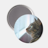 Sehen Sie die Kitty draußen nach Magnet (Vorderseite/Rückseite)