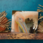 Sehen Sie die Pelican Plaque an Fotoplatte (Seite)