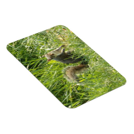 Sehen Sie Ihr Eichhörnchen Flexible Magnet (Rechte Seite)