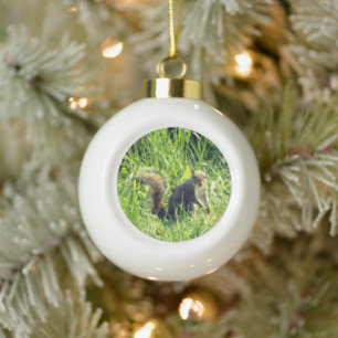 Sehen Sie Ihr Eichhörnchen Keramik Ball Ornament