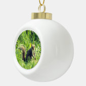 Sehen Sie Ihr Eichhörnchen Keramik Ball Ornament (Rechts)