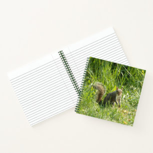 Sehen Sie Ihr Eichhörnchen-SpiralNotebook Notizblock