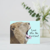 Sehen Sie Ma, keine Kavities! Postkarten (Stehend Vorderseite)