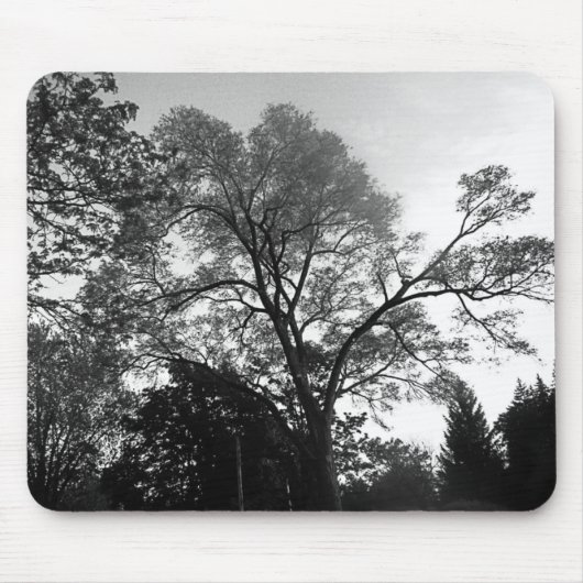 Sehen Sie meinen Baum Mousepad (Vorne)