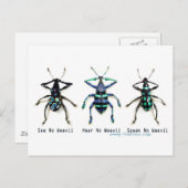Sehen Sie No Weevil! Postkarte (Vorne/Hinten)