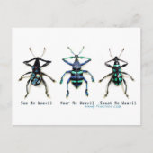 Sehen Sie No Weevil! Postkarte (Vorderseite)