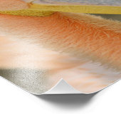 Sehen Sie Pelican Foto Print (Ecke)