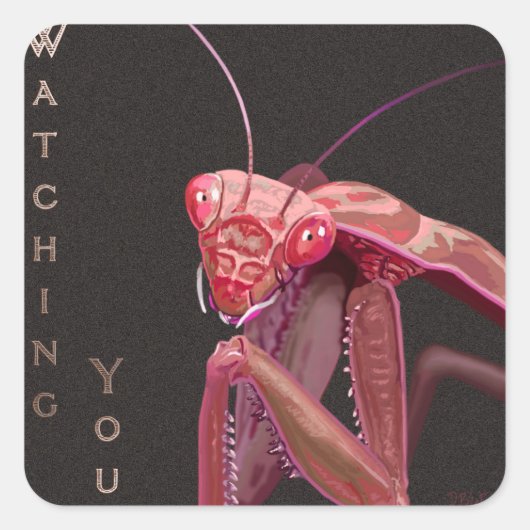 Sehen Sie sich an - rosa Version Quadratischer Aufkleber (Vorderseite)