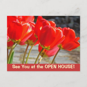 Sehen Sie sich bei der OPEN HOUSE! Postkarten Tulp