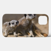 Sehen Sie sich den iPad-Fall von Mutter Mutter an Case-Mate iPhone Hülle (Rückseite (Horizontal))