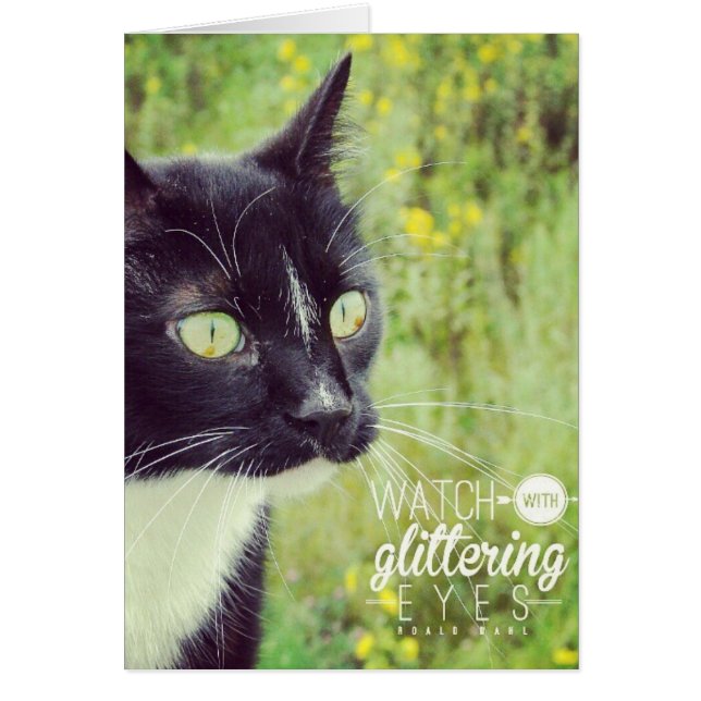 Sehen Sie sich die Glittering Eyes Cat an (Vorne)