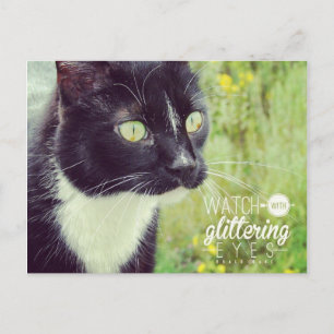 Sehen Sie sich die Glittering Eyes Cat an Postkarte