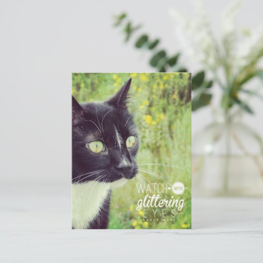 Sehen Sie sich die Glittering Eyes Cat an Postkarte (Stehend Vorderseite)