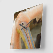 Sehen Sie sich die Pelican Wall Clock an Quadratische Wanduhr (Winkel)