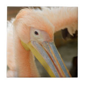 Sehen Sie sich die Pelikane-Tile an Fliese (Vorderseite)