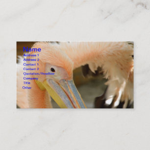 Sehen Sie sich Ihre Pelican Business Card an Visitenkarte