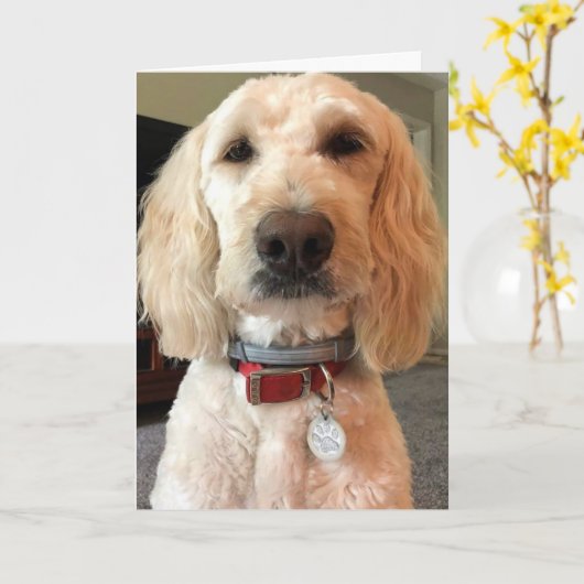 SEHEN SIE SICH MEINE AUGEN AN ***FREUEN SIE SICH A KARTE (Gelbe Blume)