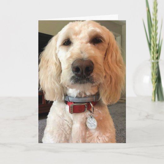 SEHEN SIE SICH MEINE AUGEN AN ***FREUEN SIE SICH A KARTE (Vorderseite)