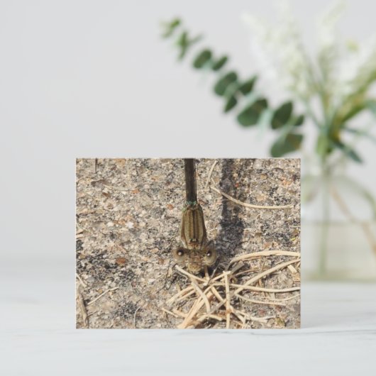 Sehen Sie sich Sie an Postkarte (Stehend Vorderseite)