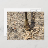 Sehen Sie sich Sie an Postkarte (Vorne/Hinten)