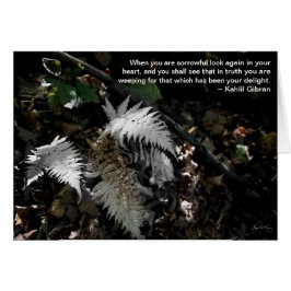 Sehen Sie sich wieder in Ihrem Herzen an