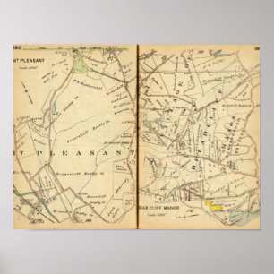 Sehr angenehm, New York Poster