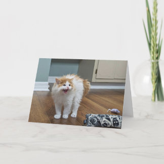 "Sehr Beängstigend" - Dewey ist überfüllt Karte