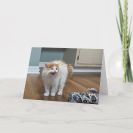 "Sehr Beängstigend" - Dewey ist überfüllt Karte