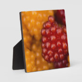 Sehr Berry Fotoplatte (Vorderseite)