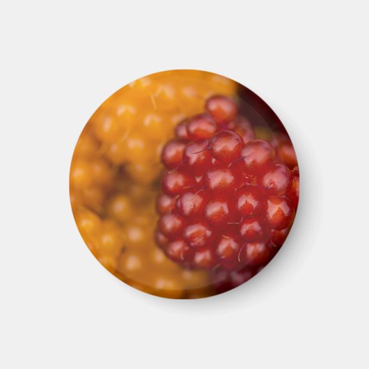 Sehr Berry Magnet (Vorne)