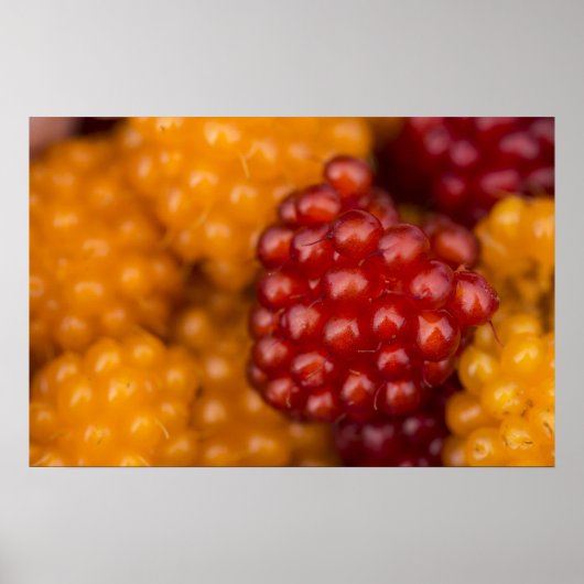 Sehr Berry Poster (Vorne)