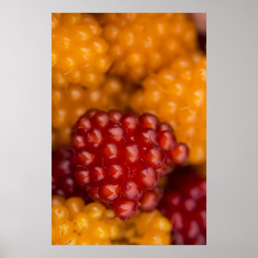 Sehr Berry Poster (Vorne)