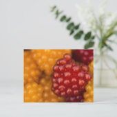 Sehr Berry Postkarte (Stehend Vorderseite)