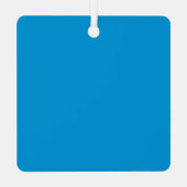 Sehr Blue Delaware Map Ornament Aus Metall (Rückseite)