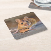 Sehr Coole Maus im Wild Untersetzer Set (angewinkelt)