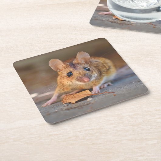 Sehr Coole Maus im Wild Untersetzer Set (angewinkelt)